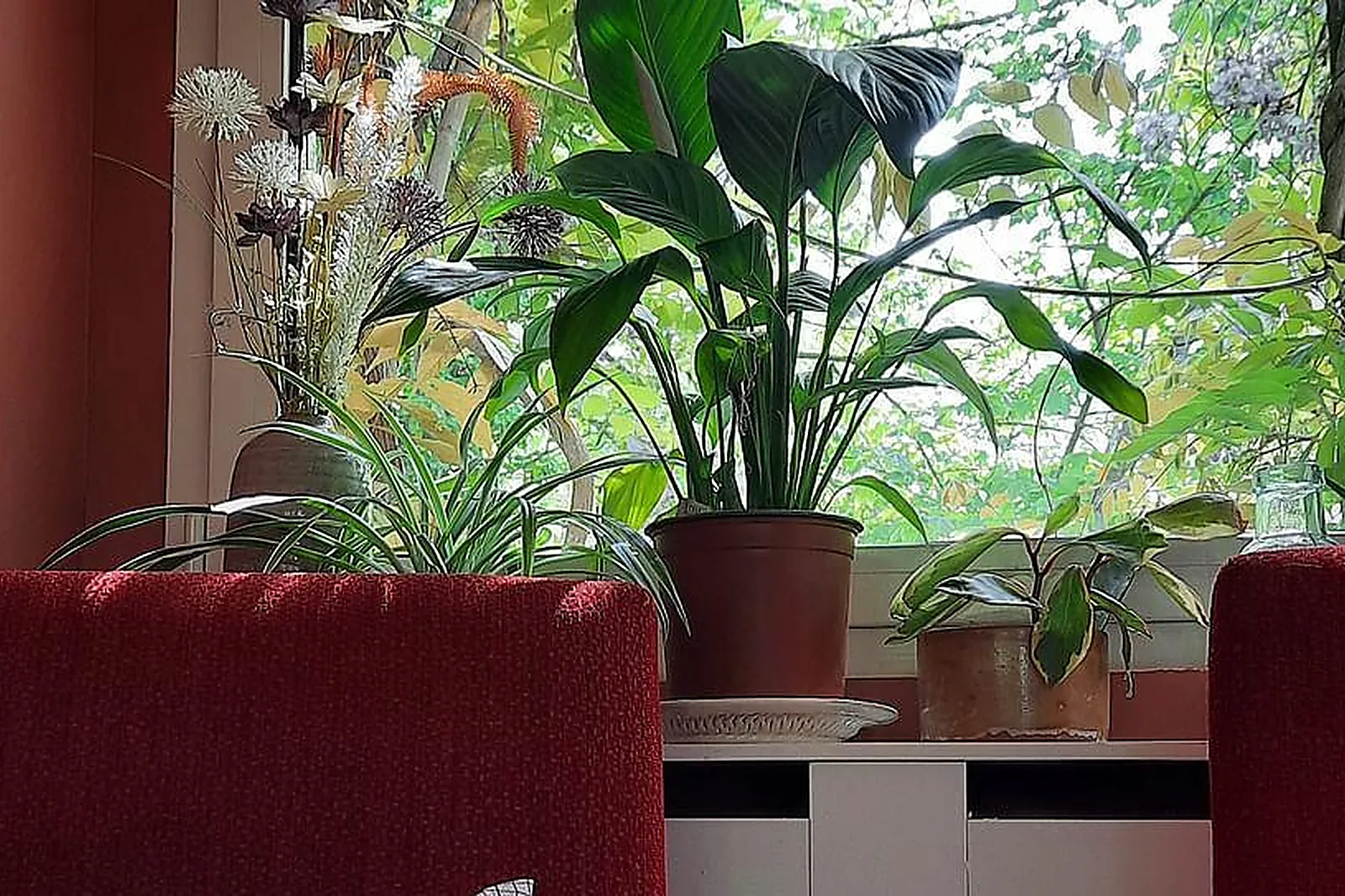 Lieux événementiels, PALPITE