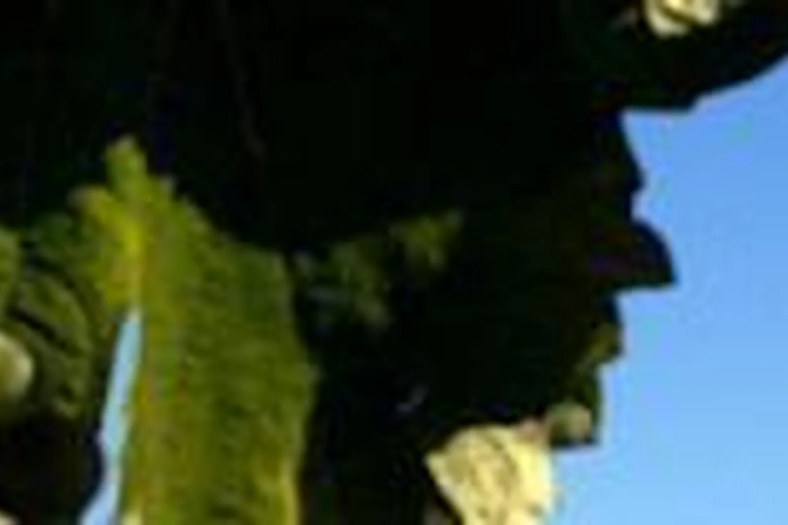 Lieux événementiels, PARC BEAUMONT MGALLERY *****