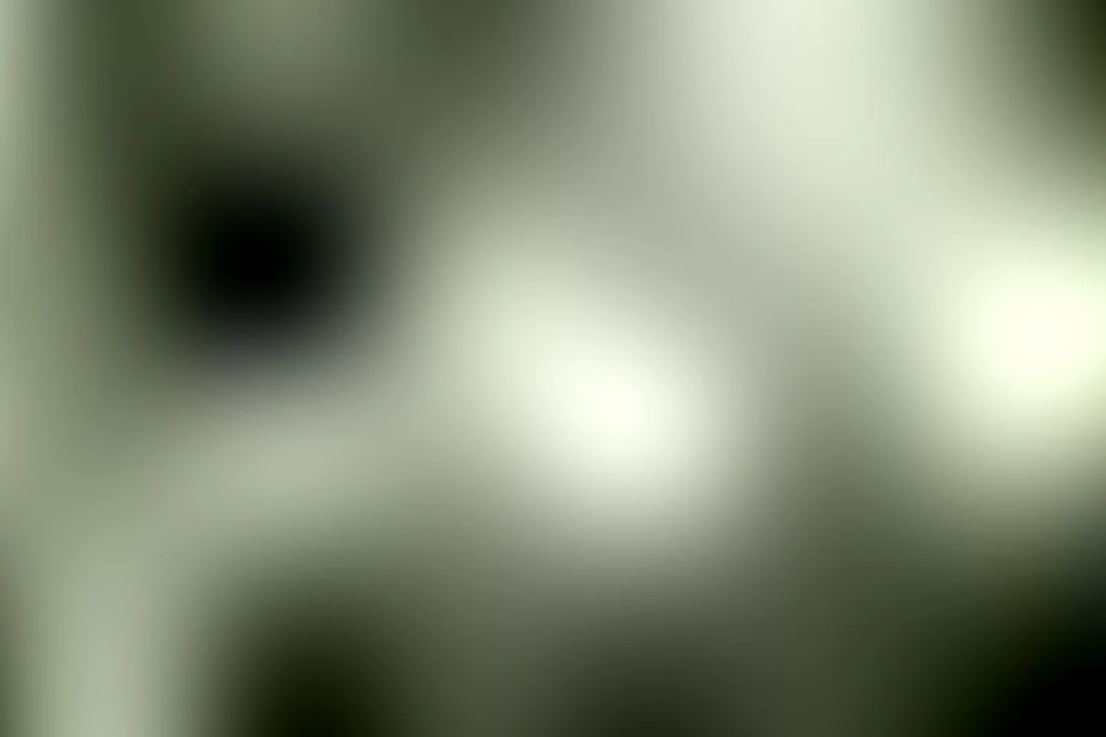 Lieux événementiels, PARC BEAUMONT MGALLERY *****