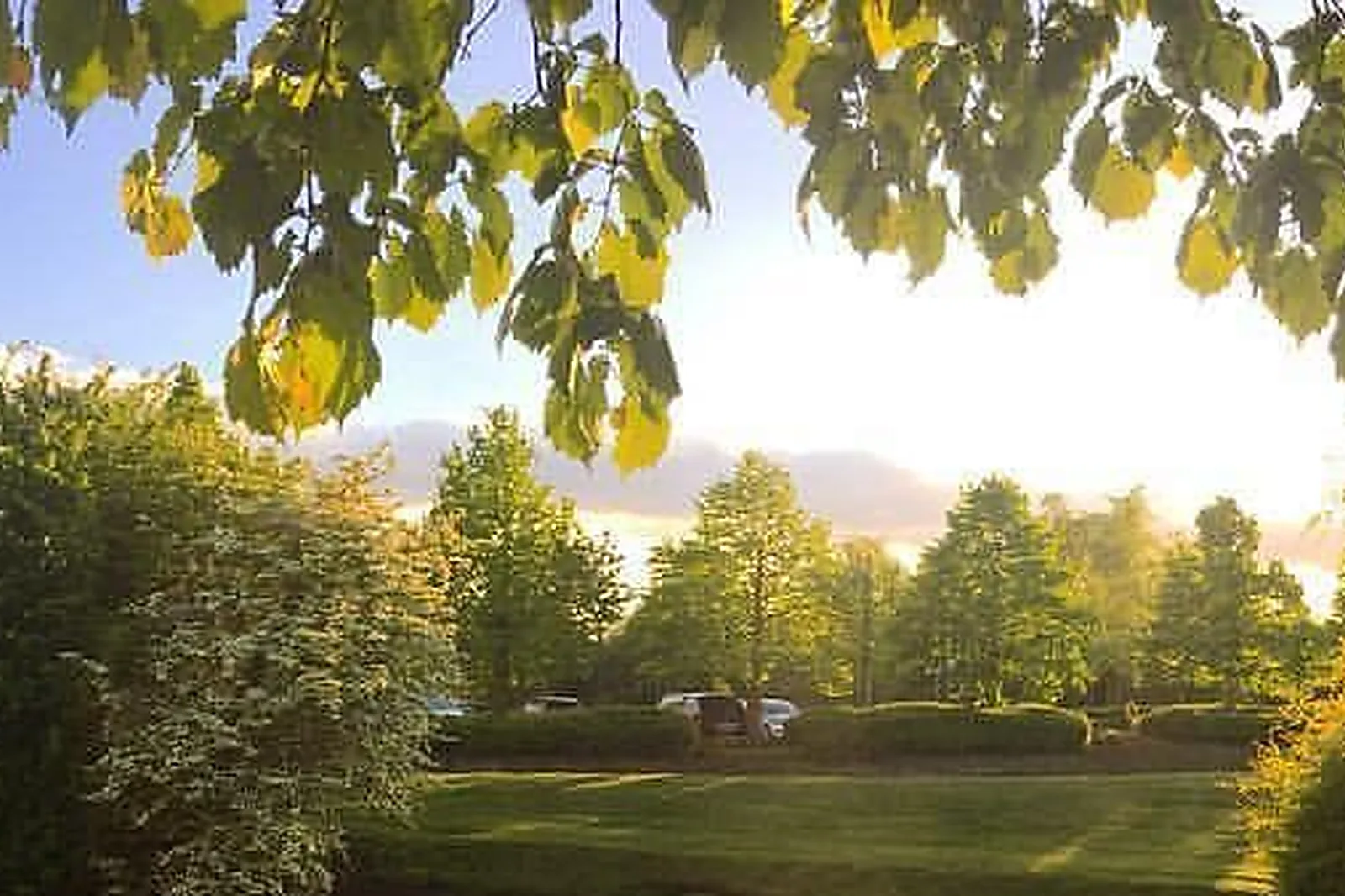 Lieux événementiels, PASINO DE SAINT-AMAND-LES-EAUX ****