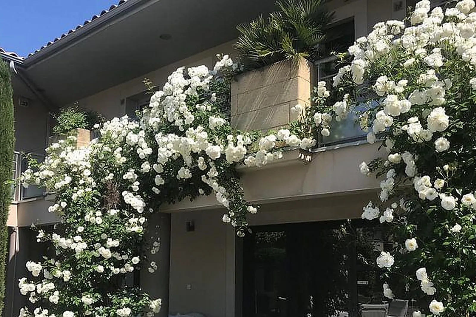 Lieux événementiels, PATIO DE VIOLETTE