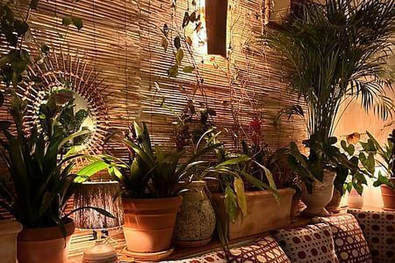 Lieux événementiels, PETIT VICTOR HUGO