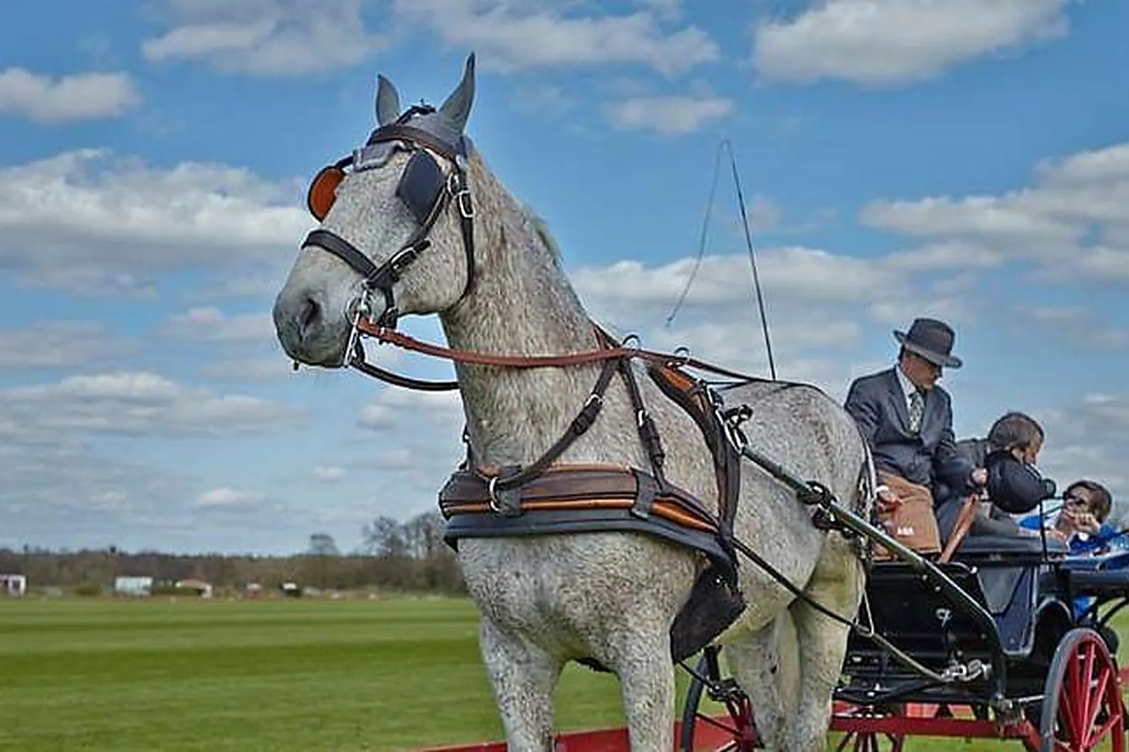 Lieux événementiels, LA CABANE DU BONHEUR