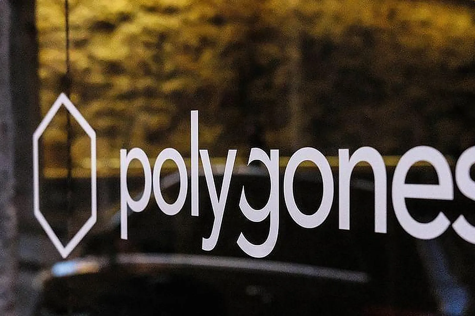 Lieux événementiels, POLYGONES