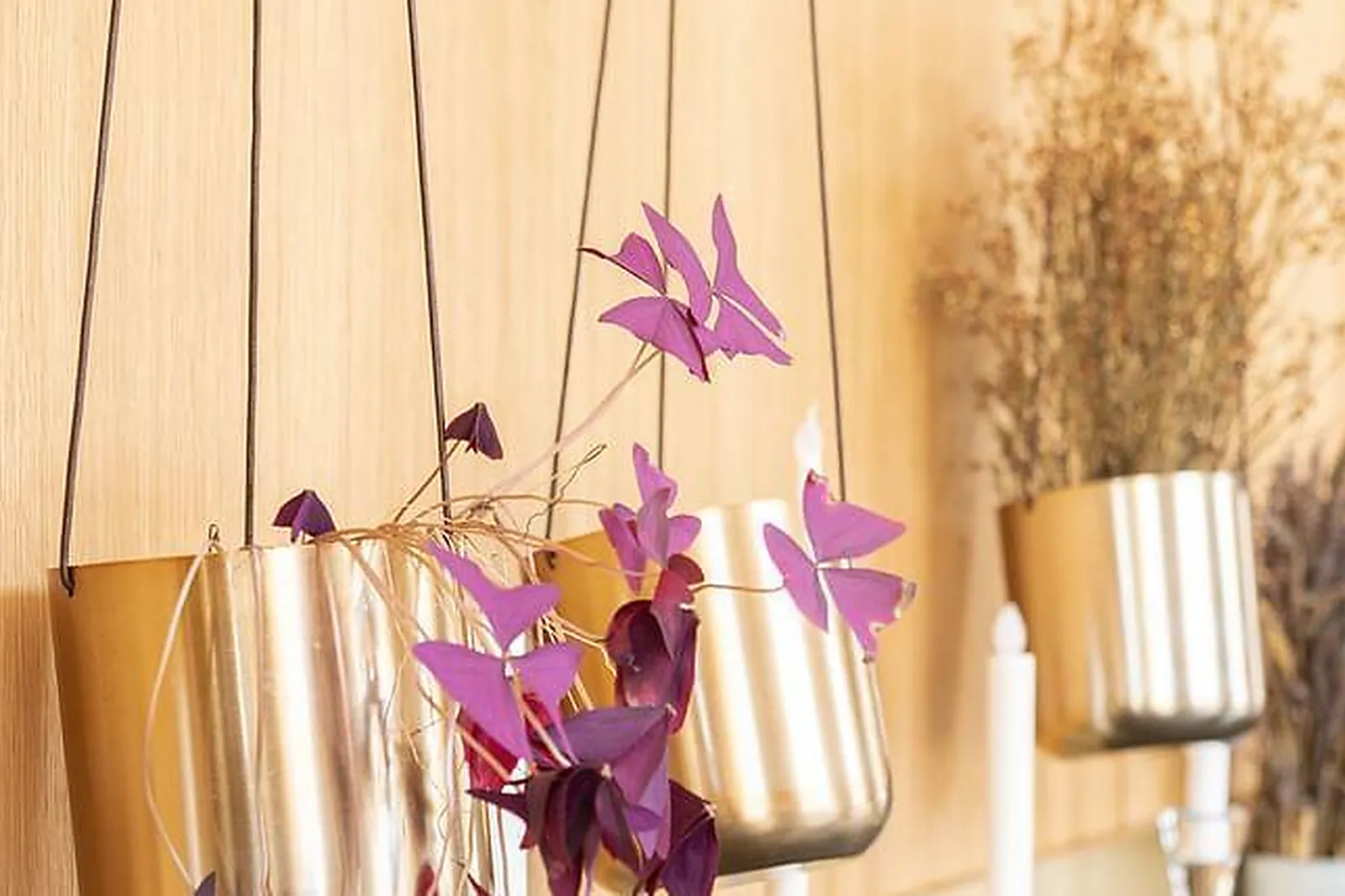 Lieux événementiels, TWELTY LAB