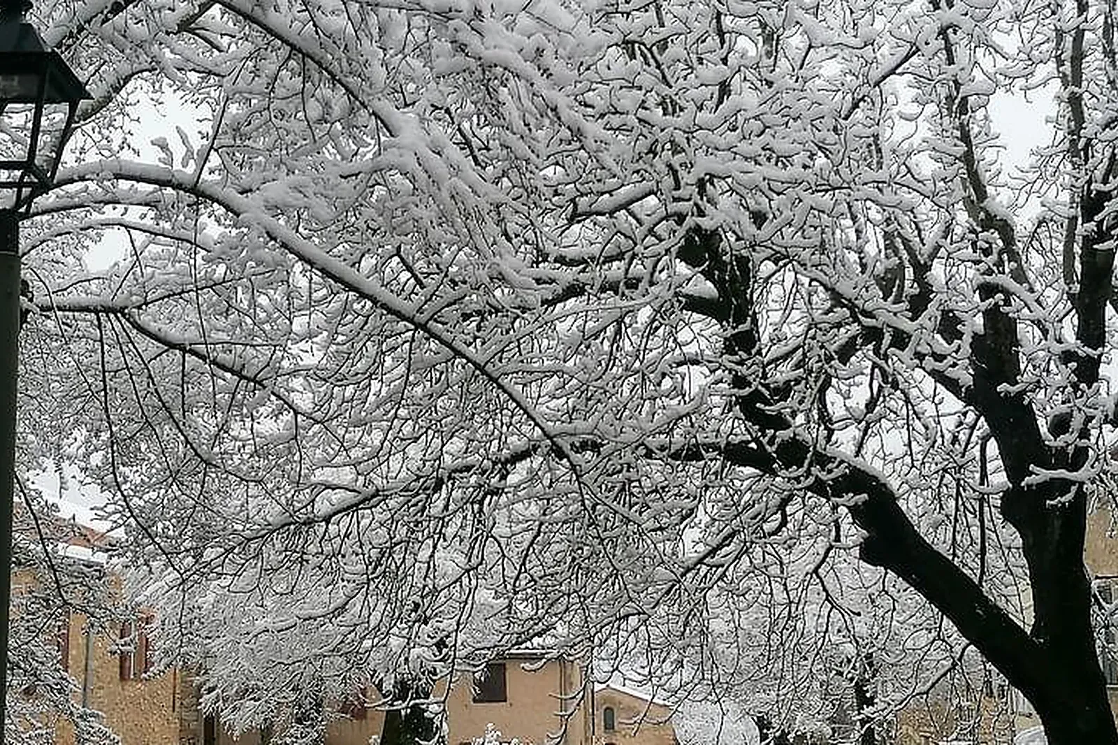Lieux événementiels, PRIEURÉ DU VIEUX FOX