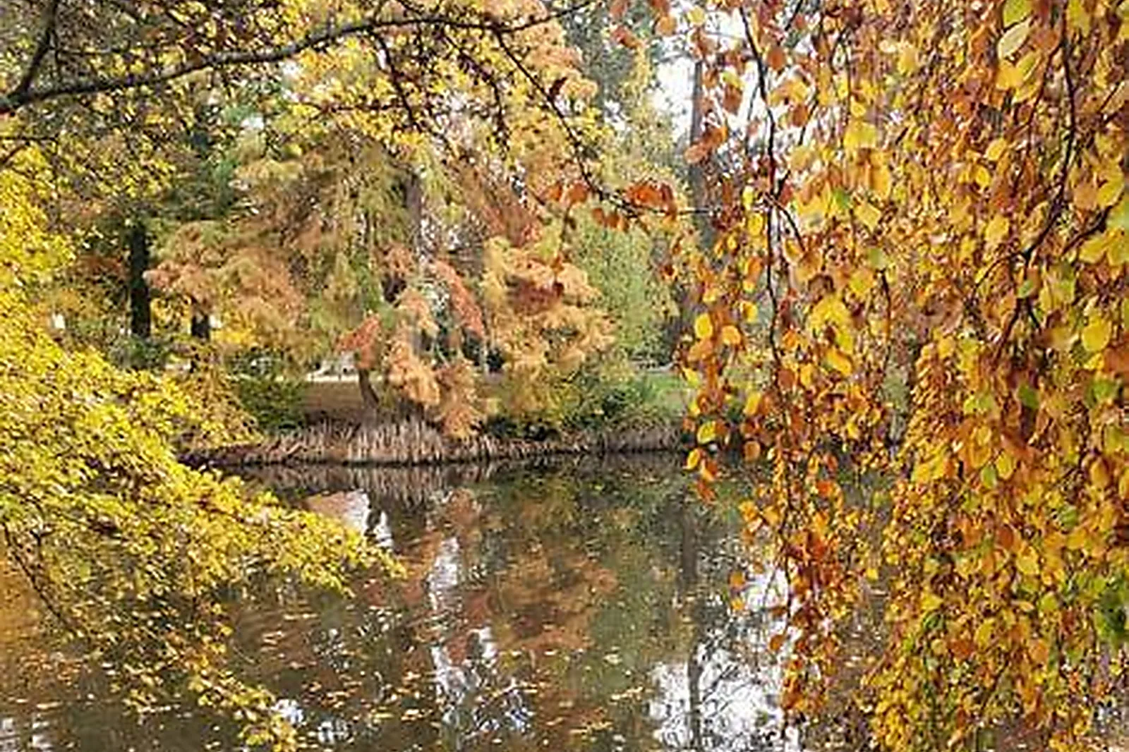 Lieux événementiels, PUR YOGA