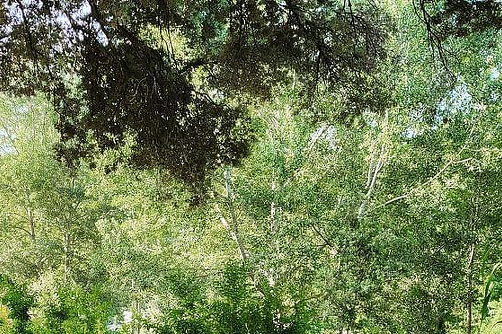 Lieux événementiels, W'IN LIBOURNE