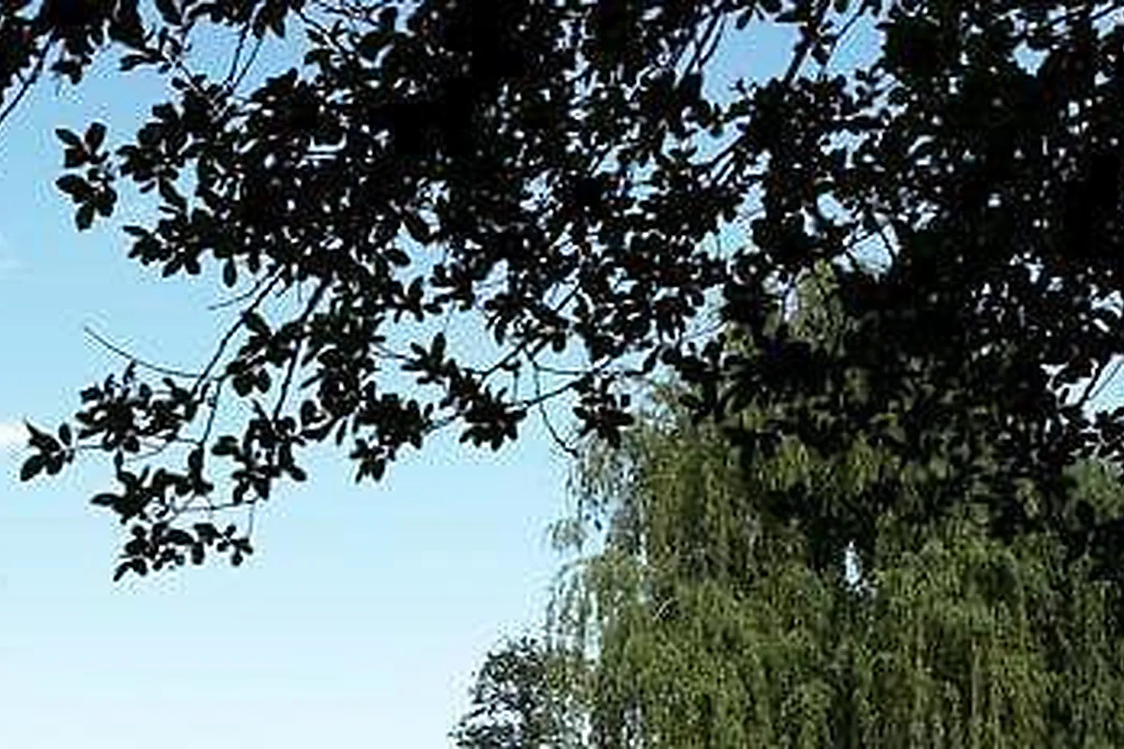 Lieux événementiels, RELAIS DU BOIS SAINT GEORGES ***