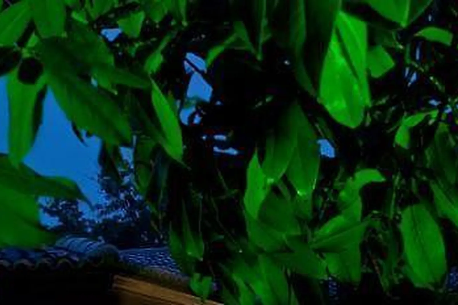 Lieux événementiels, RELAIS DU BOIS SAINT GEORGES ***