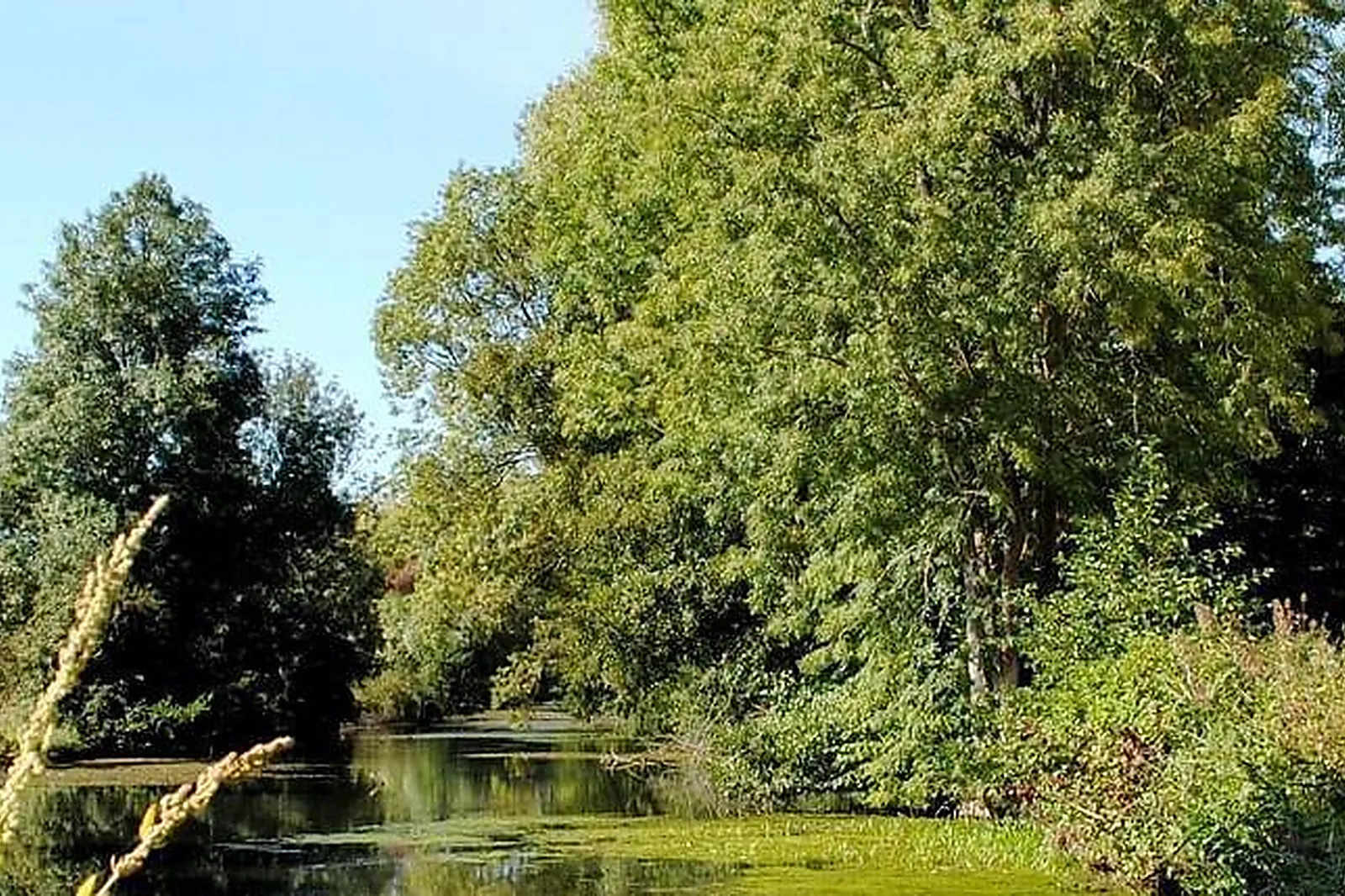 Lieux événementiels, RELAIS DU MOULIN