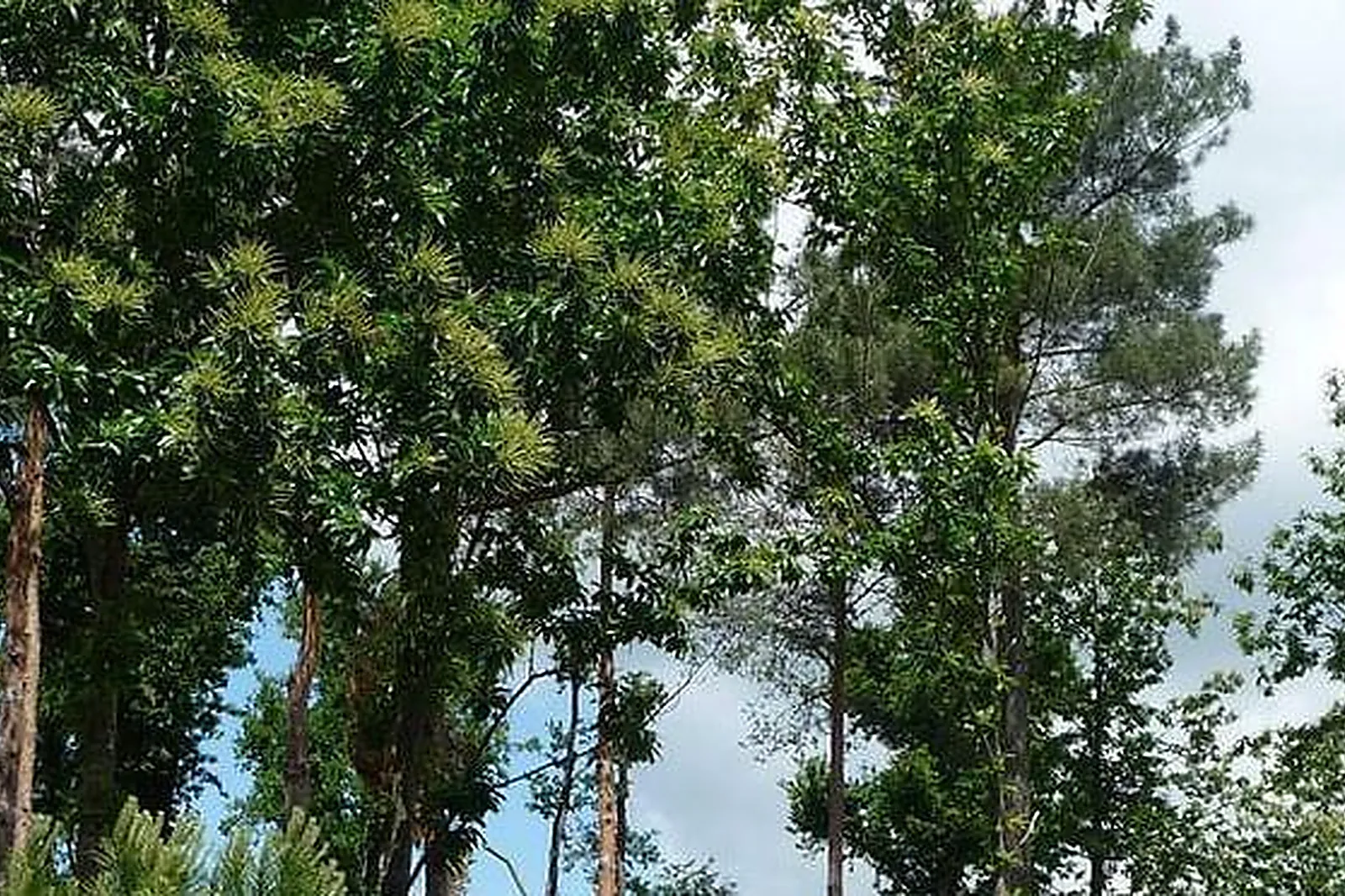 Lieux événementiels, RELAIS DU PLESSIS