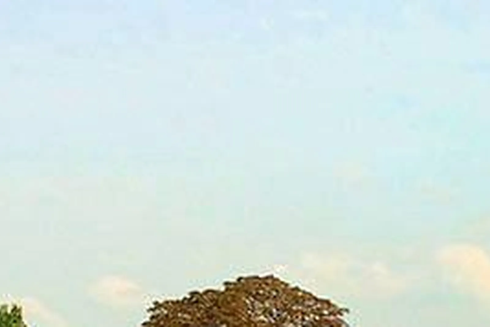 Lieux événementiels, RENAISSANCE PARIS HIPPODROME DE SAINT-CLOUD ****