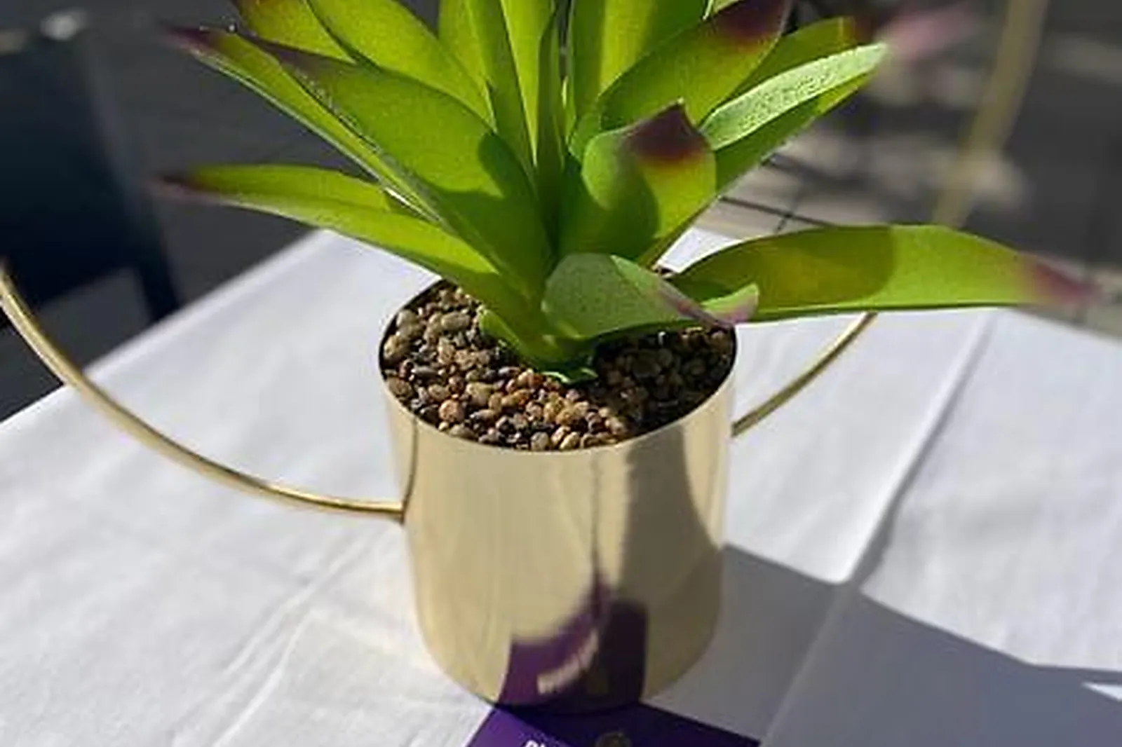 Lieux événementiels, PALPITE