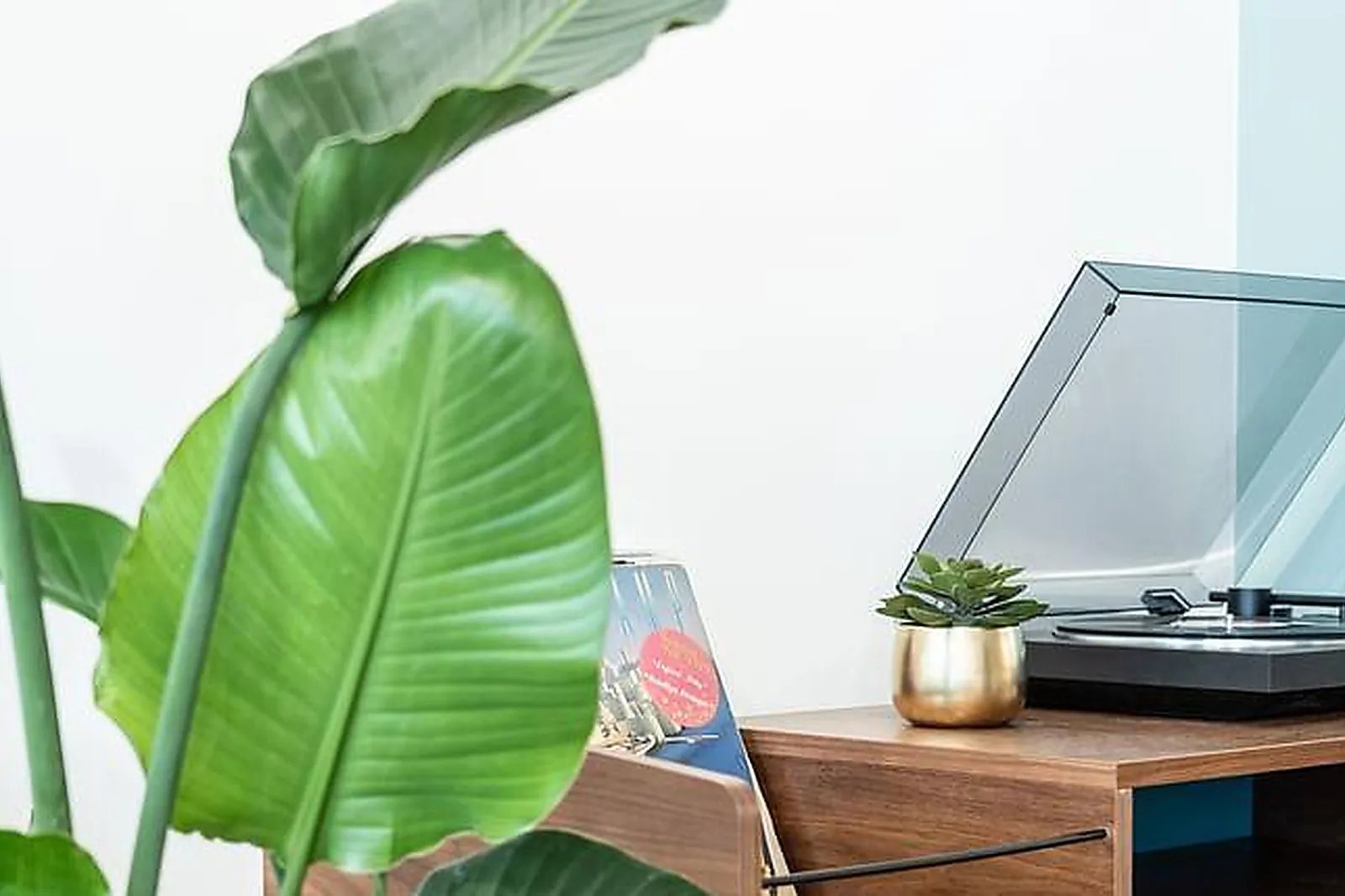 Lieux événementiels, SALLE DE RÉUNION PRIVATIVE JARDIN PUBLIC