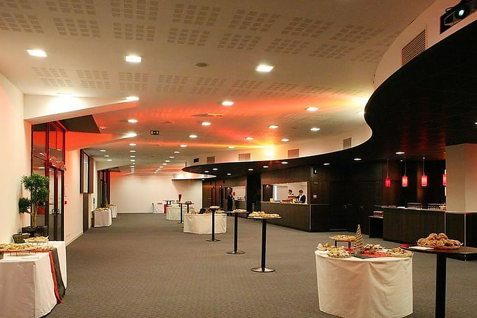 Lieux événementiels, ROAZHON PARK - STADE RENNAIS