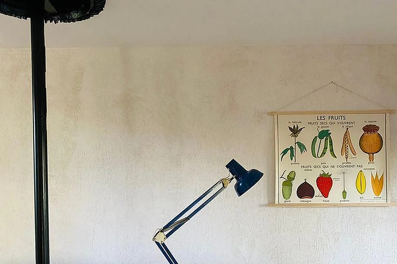 Lieux événementiels, ROBIN DES MOULINS