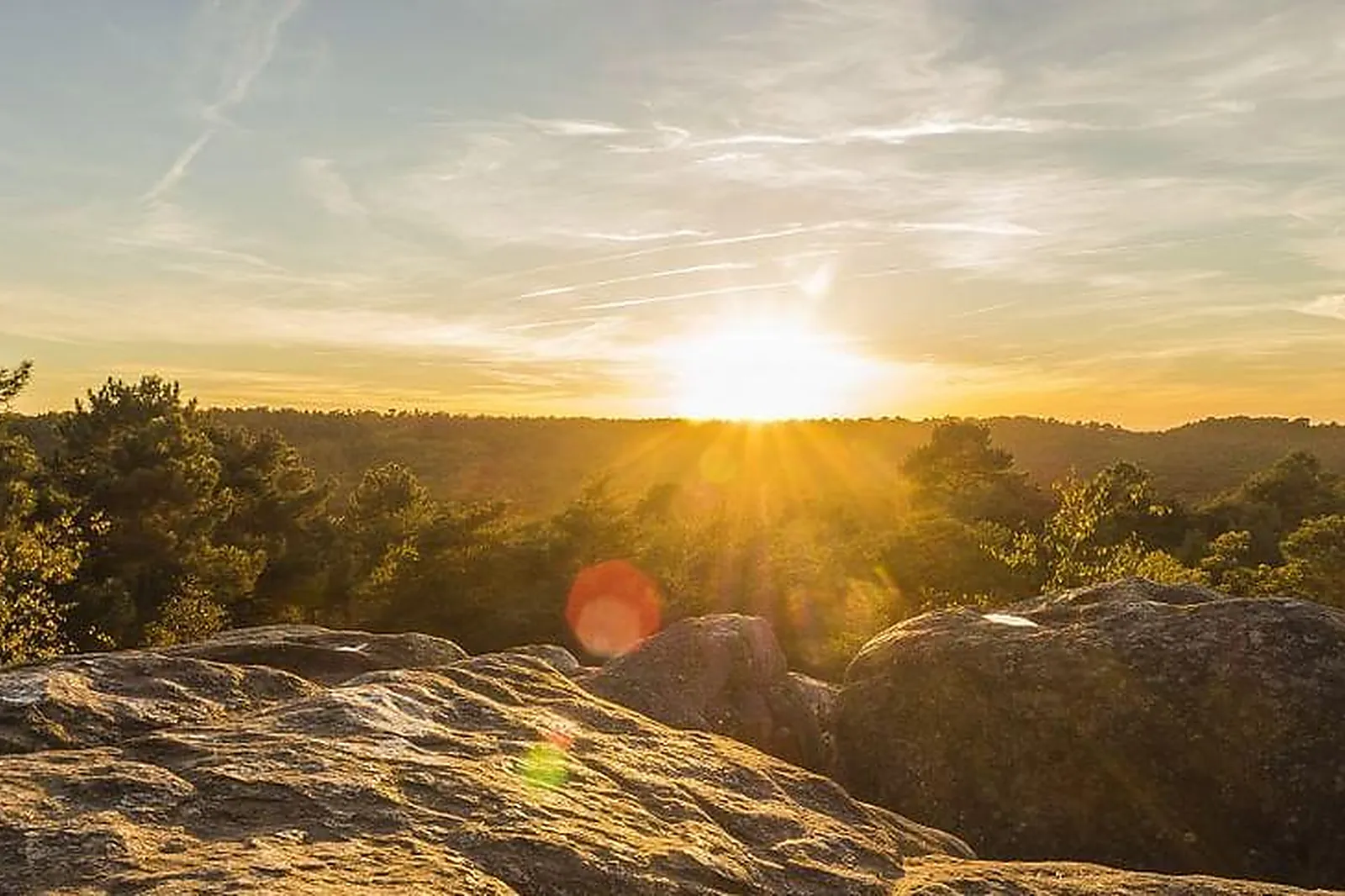 Lieux événementiels, ROCK&BLEAU
