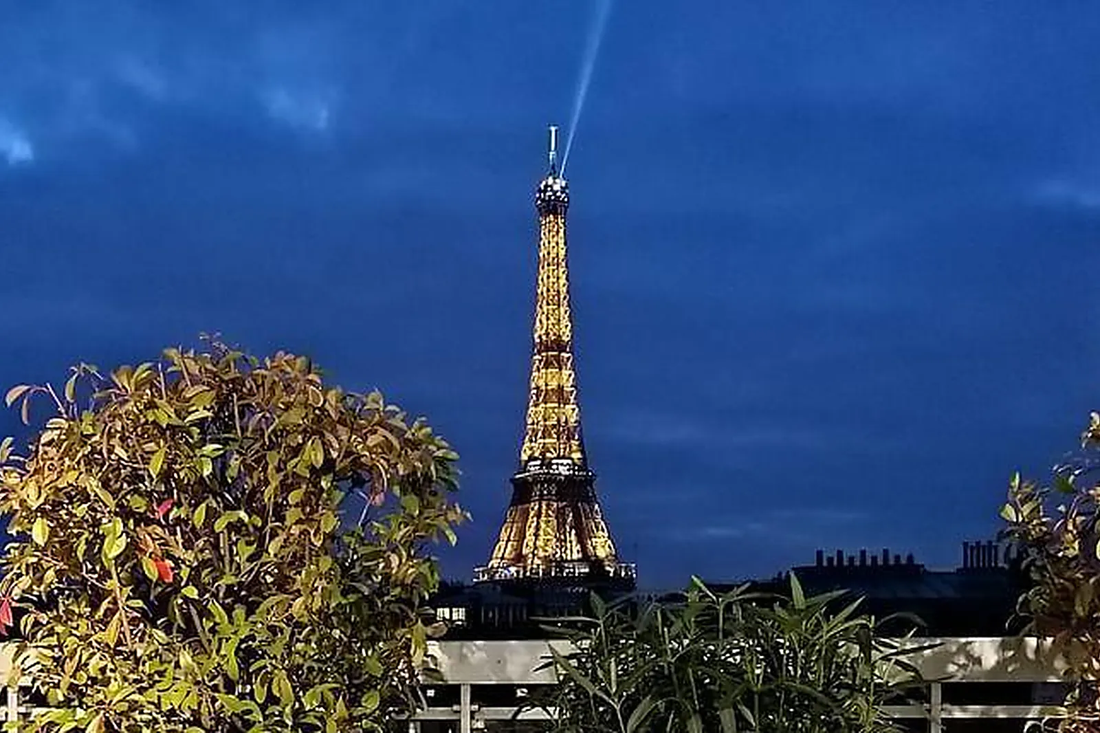 Lieux événementiels, ROOFTOP DU 7È