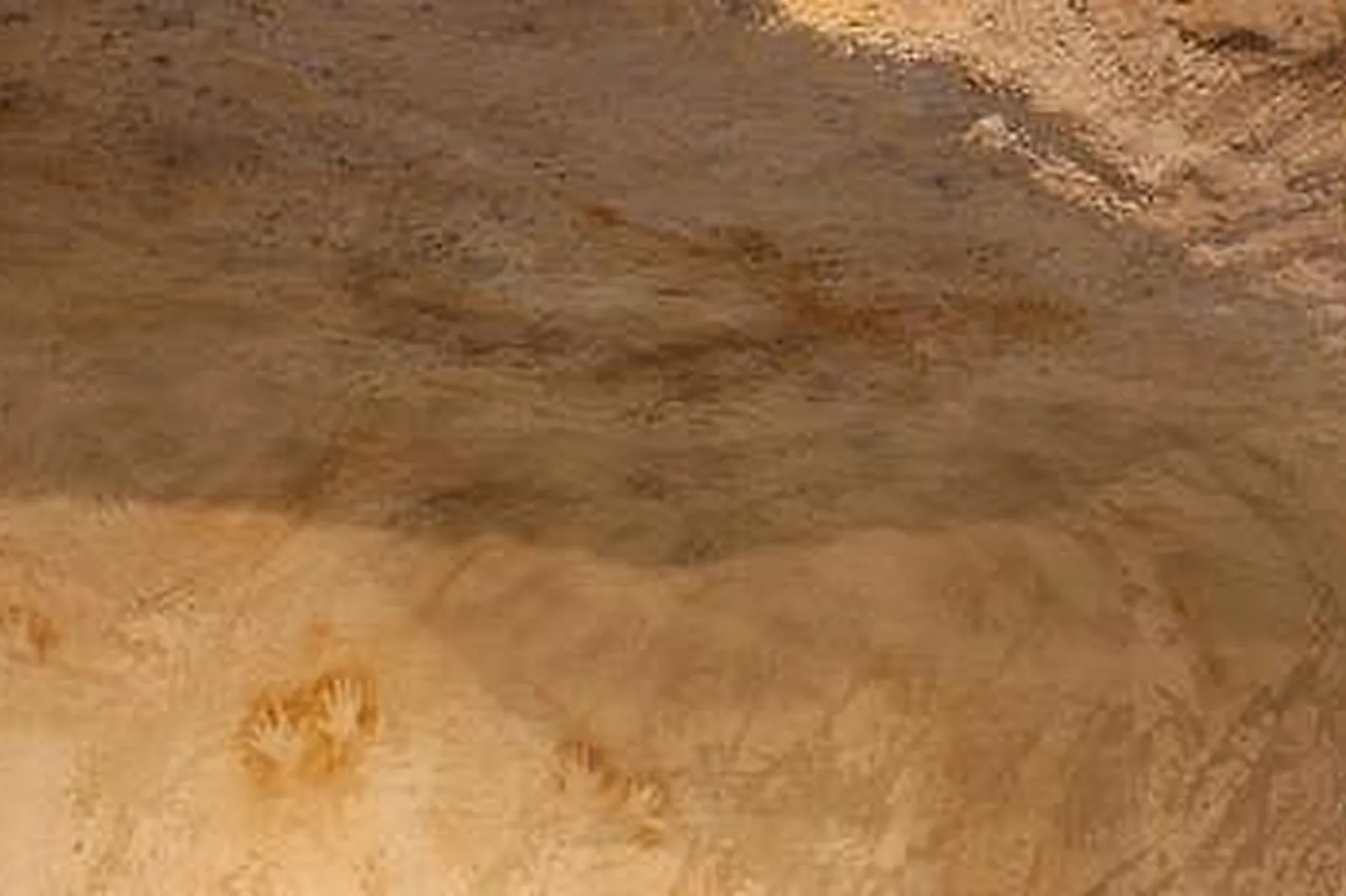 Lieux événementiels, ROYAL OURS BLANC HÔTEL & SPA ****