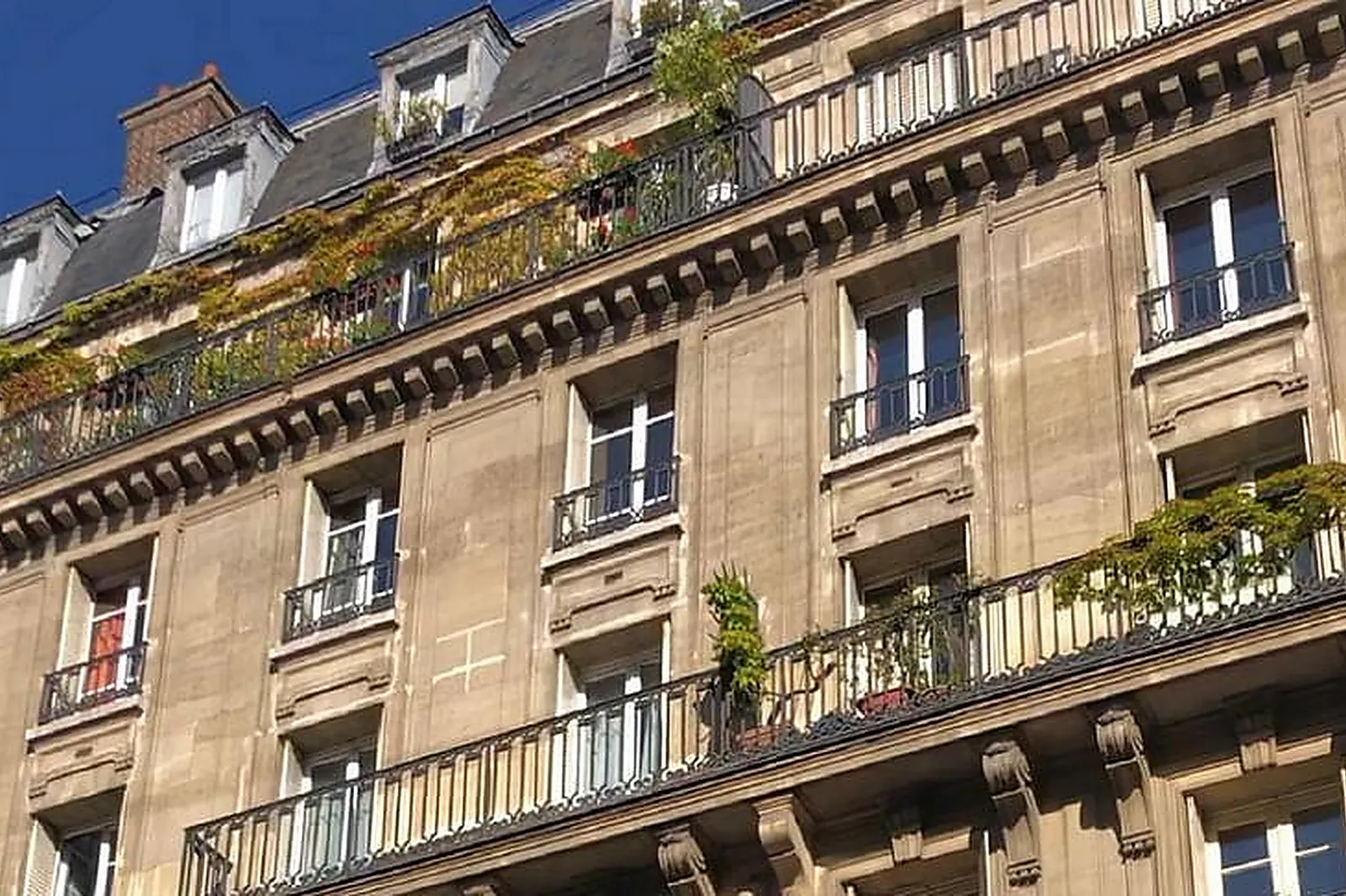 Lieux événementiels, RUE DU PONT NEUF ***** (RIVOLI / SAINT HONORÉ / CHATELET)