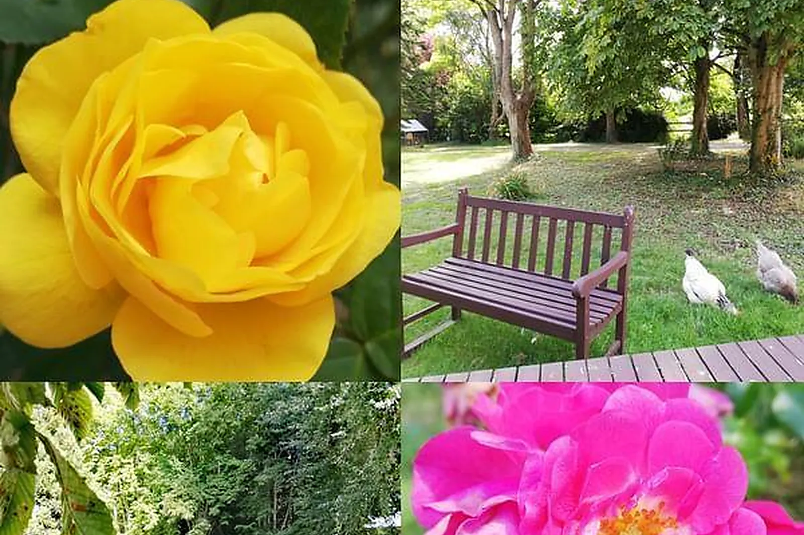 Lieux événementiels, RÉSIDENCE SERVICES CHÂTEAU SAINT PIERRE OURSIN