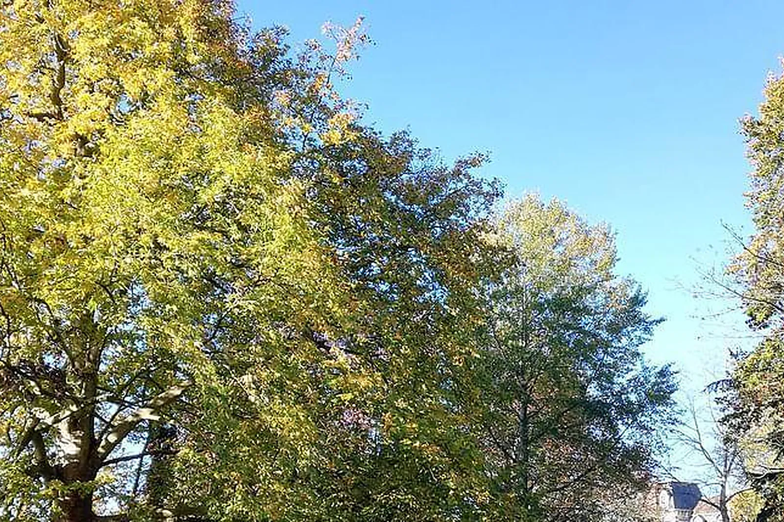 Lieux événementiels, RÉSIDENCE SERVICES CHÂTEAU SAINT PIERRE OURSIN