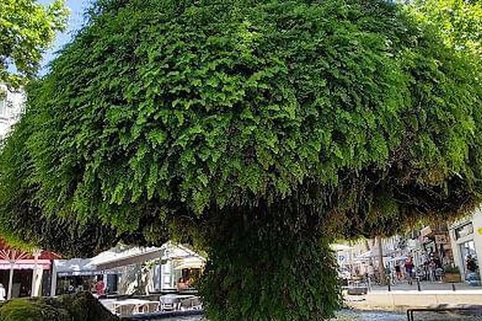 Lieux événementiels, SALLE DE RÉUNION NOSTRADAMUS