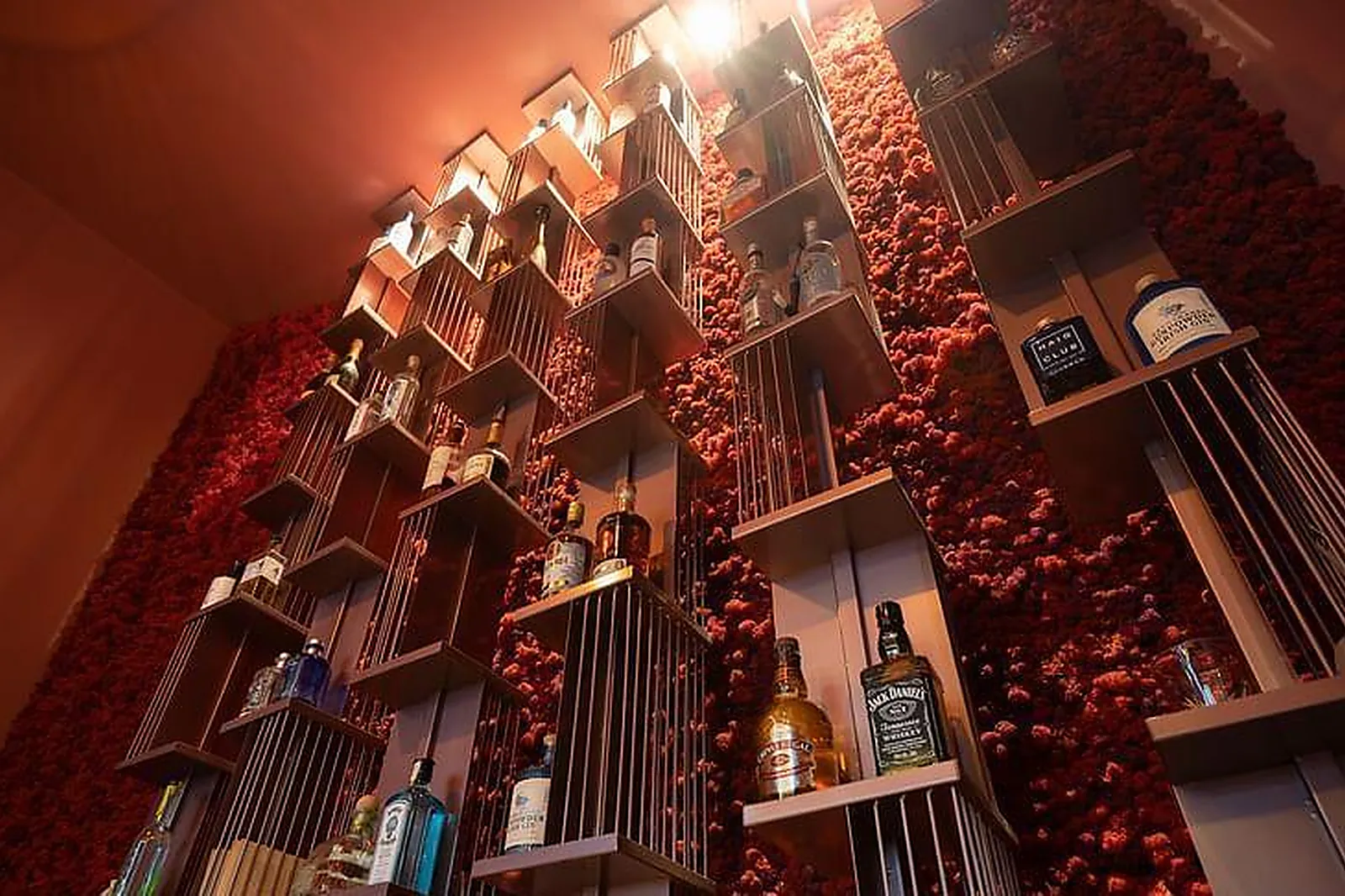 Lieux événementiels, SANAE