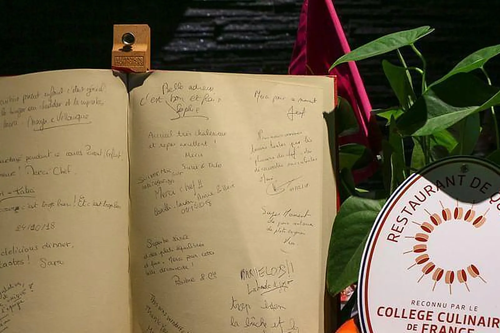 Lieux événementiels, SAPIO