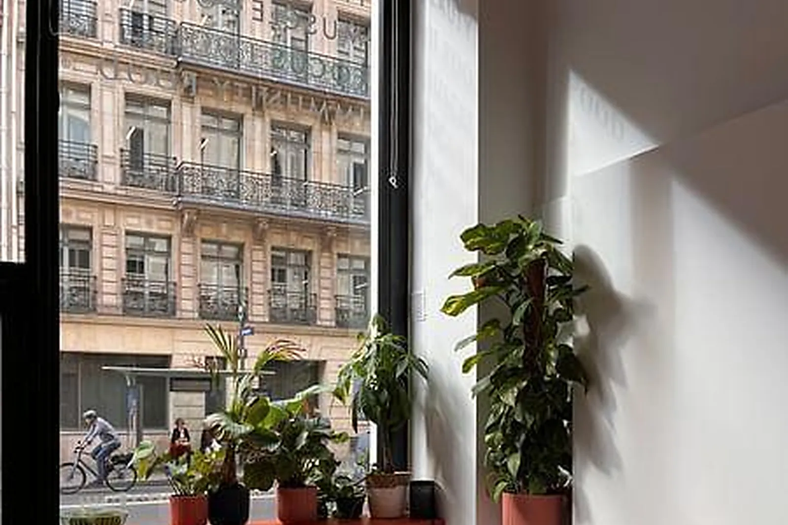 Lieux événementiels, SHAKE SMITH