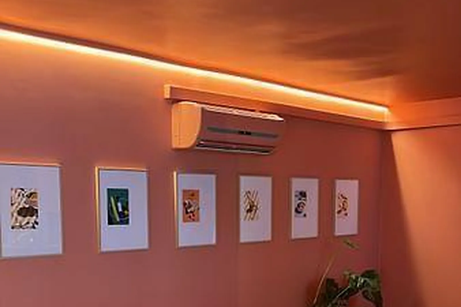 Lieux événementiels, SHAKE SMITH