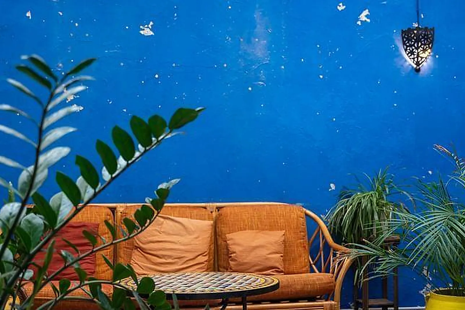 Lieux événementiels, SOFFFA LYON 7 - FORMAT PRIVATISATION LIEU COMPLET