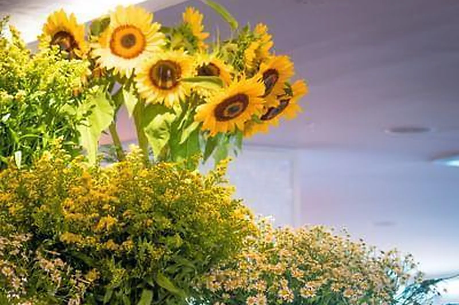 Lieux événementiels, BUREAUX AND CO - LE CALYPSO