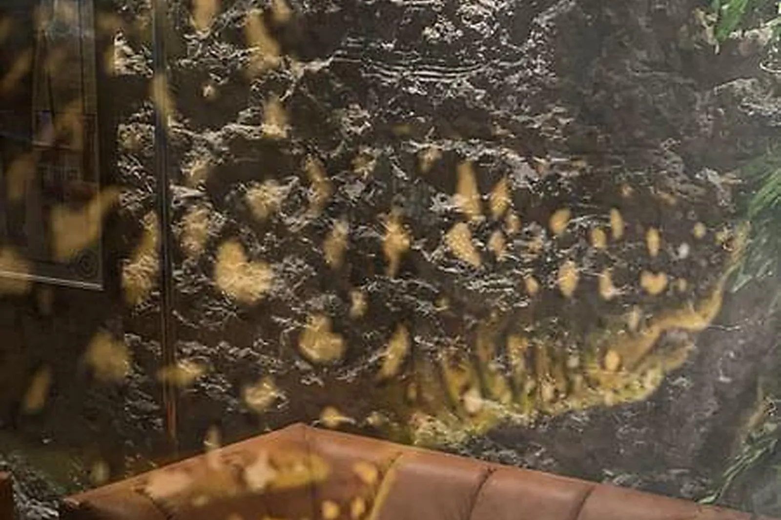 Lieux événementiels, SPARKLING VR