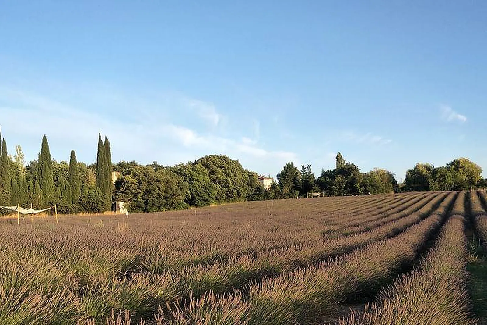 Lieux événementiels, TERRE UGO MAISON DE LAVANDE