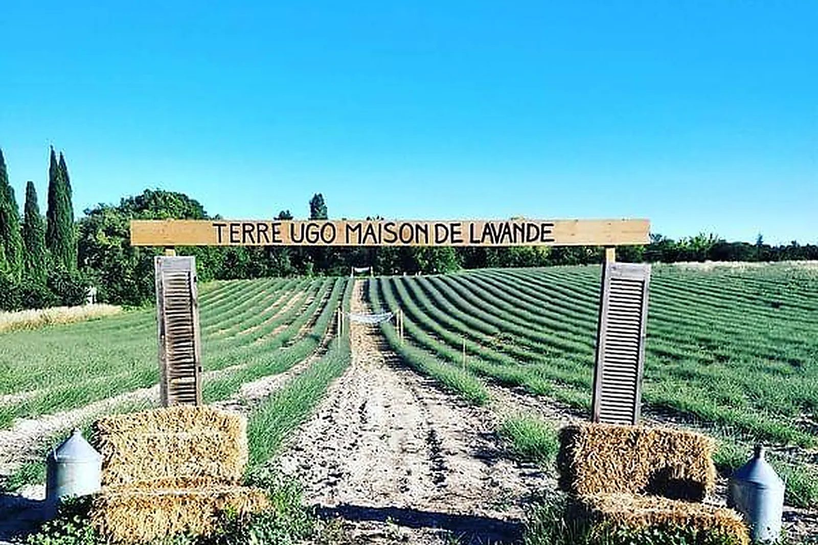 Lieux événementiels, TERRE UGO MAISON DE LAVANDE