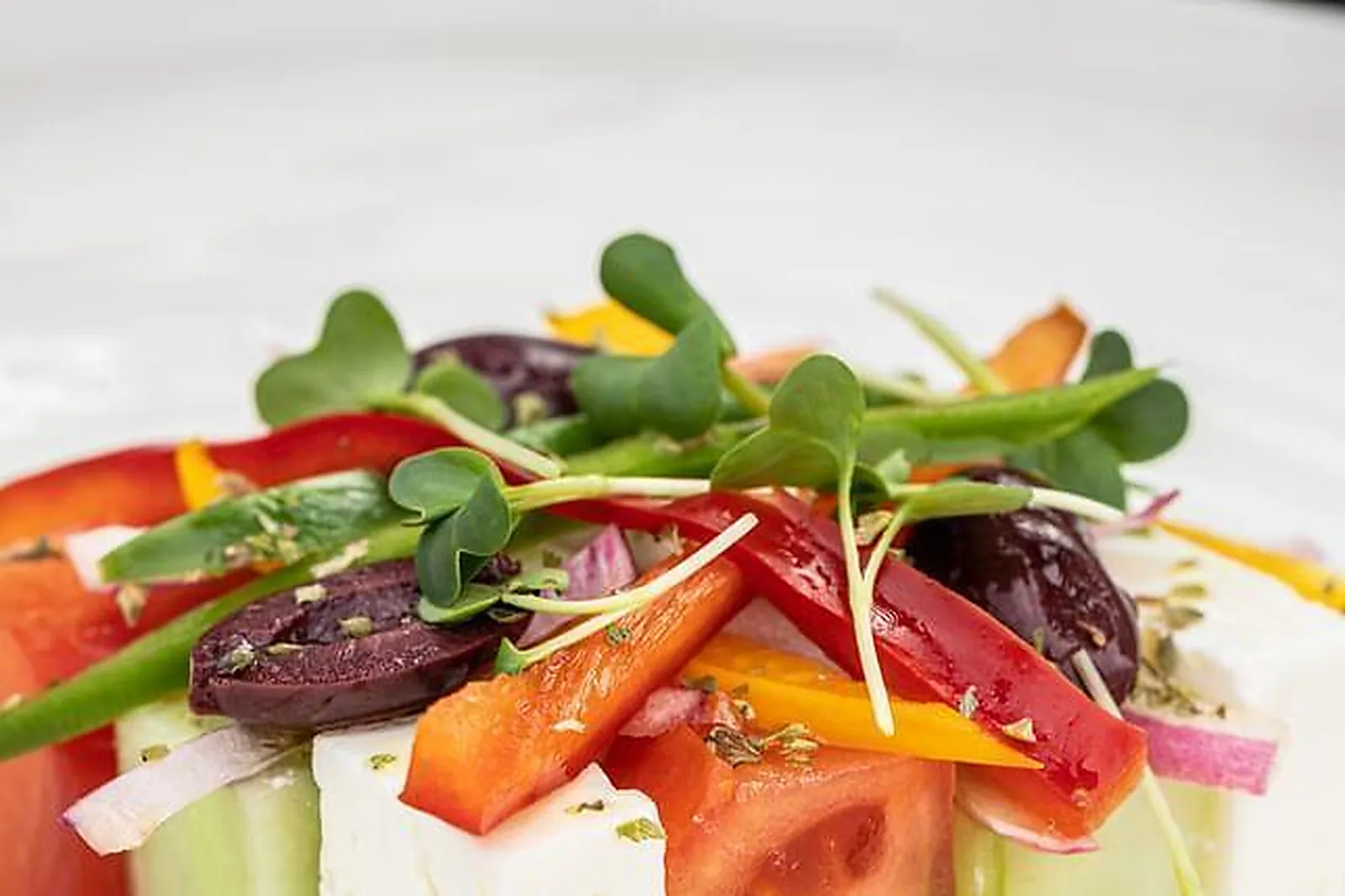 Lieux événementiels, THALAZUR BANDOL ***** - ILE ROUSSE