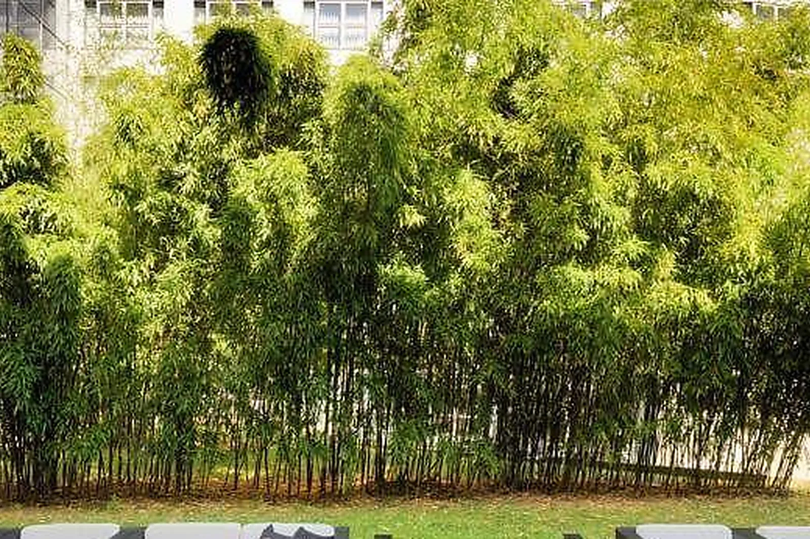 Lieux événementiels, THE ATRIUM HOTEL & CONFERENCE CENTER CDG BY PENTA