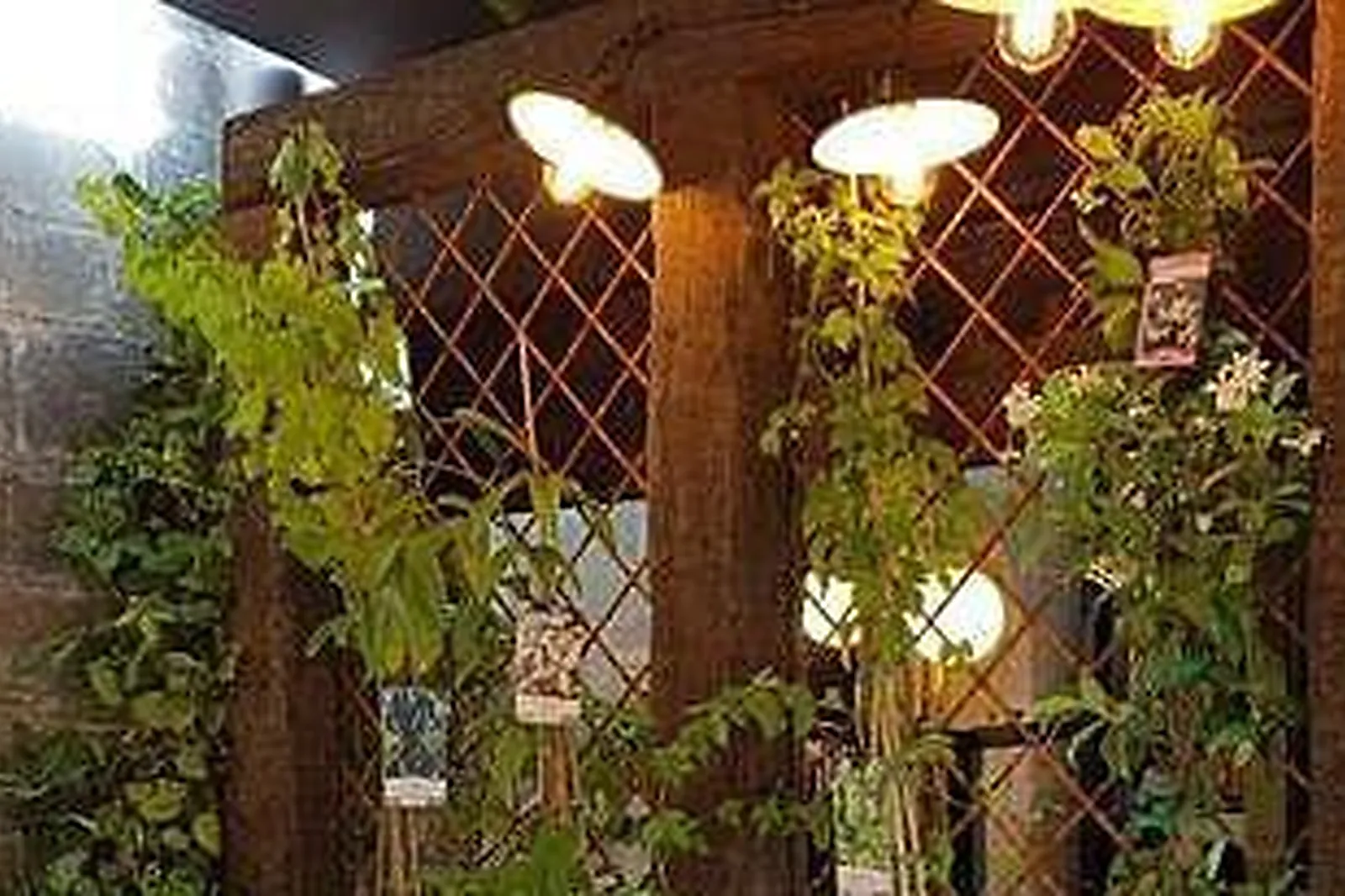 Lieux événementiels, THE FROG AT BERCY VILLAGE