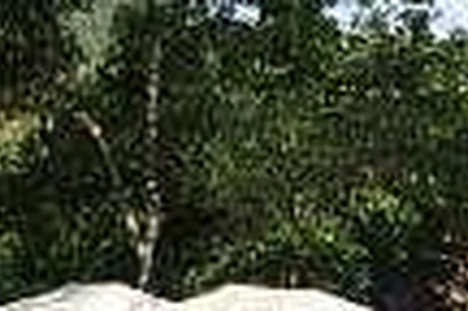 Lieux événementiels, THÉÂTRE DU MOULINAGE