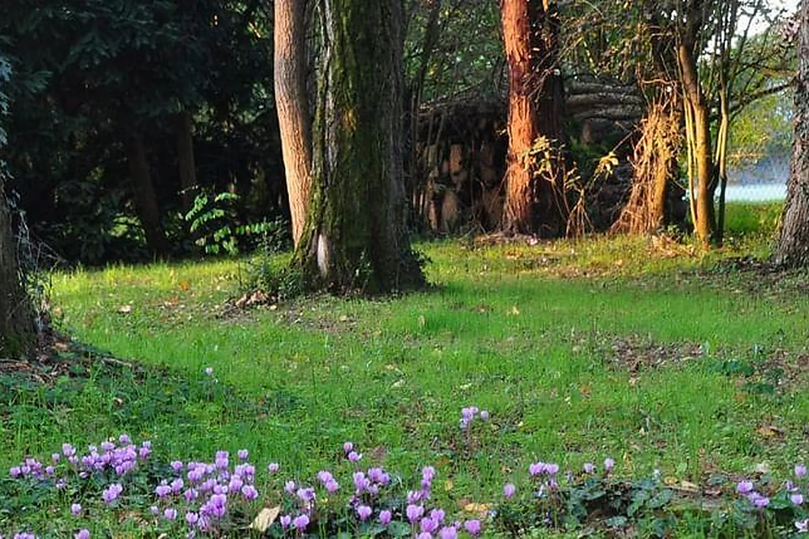 Lieux événementiels, TIPEE HQ