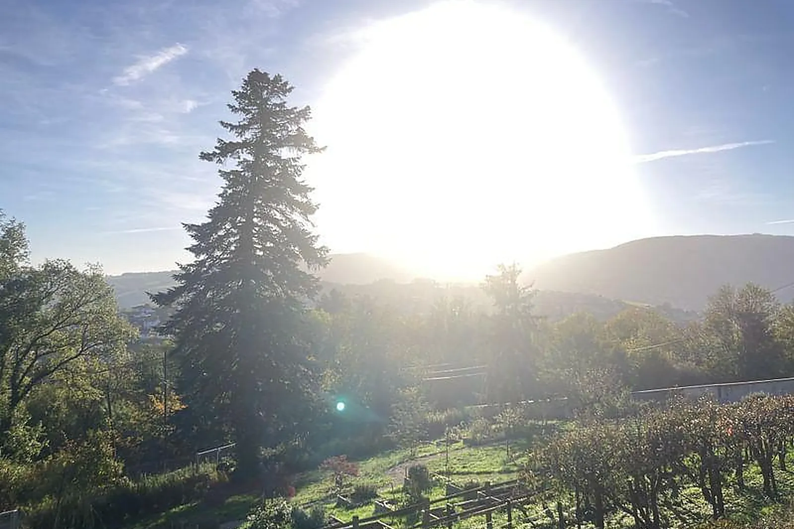 Lieux événementiels, TOP VEGETAL