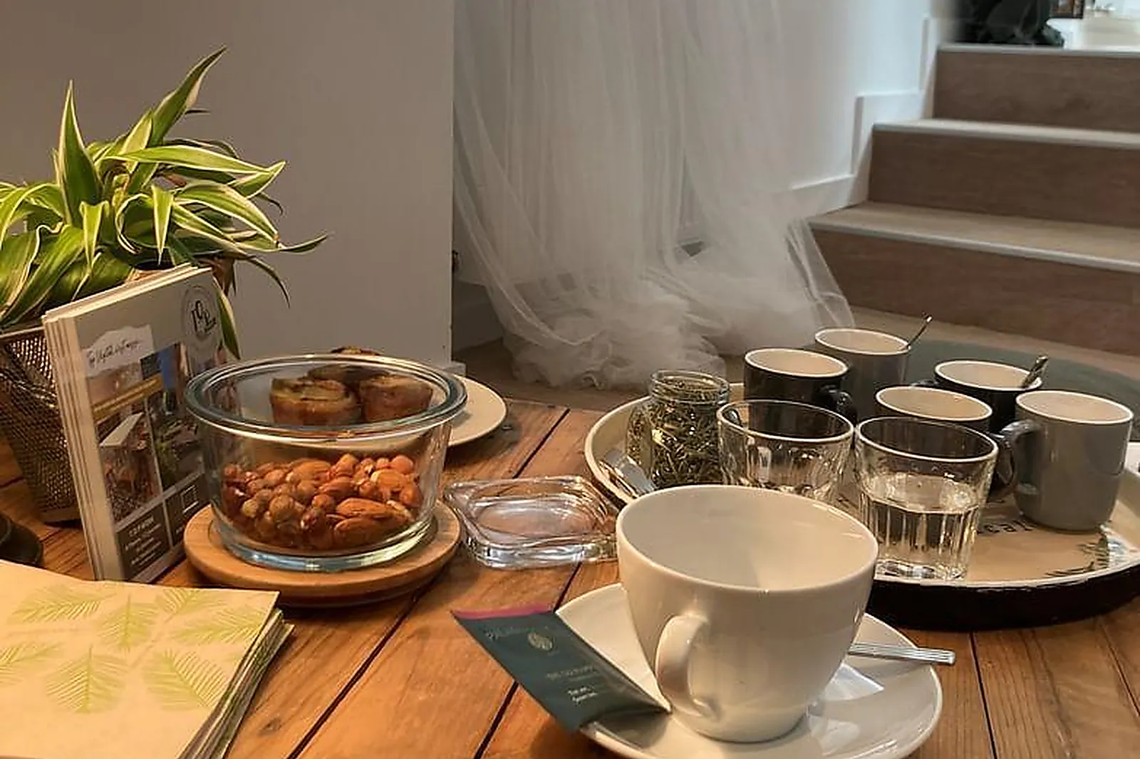 Lieux événementiels, TOP VEGETAL