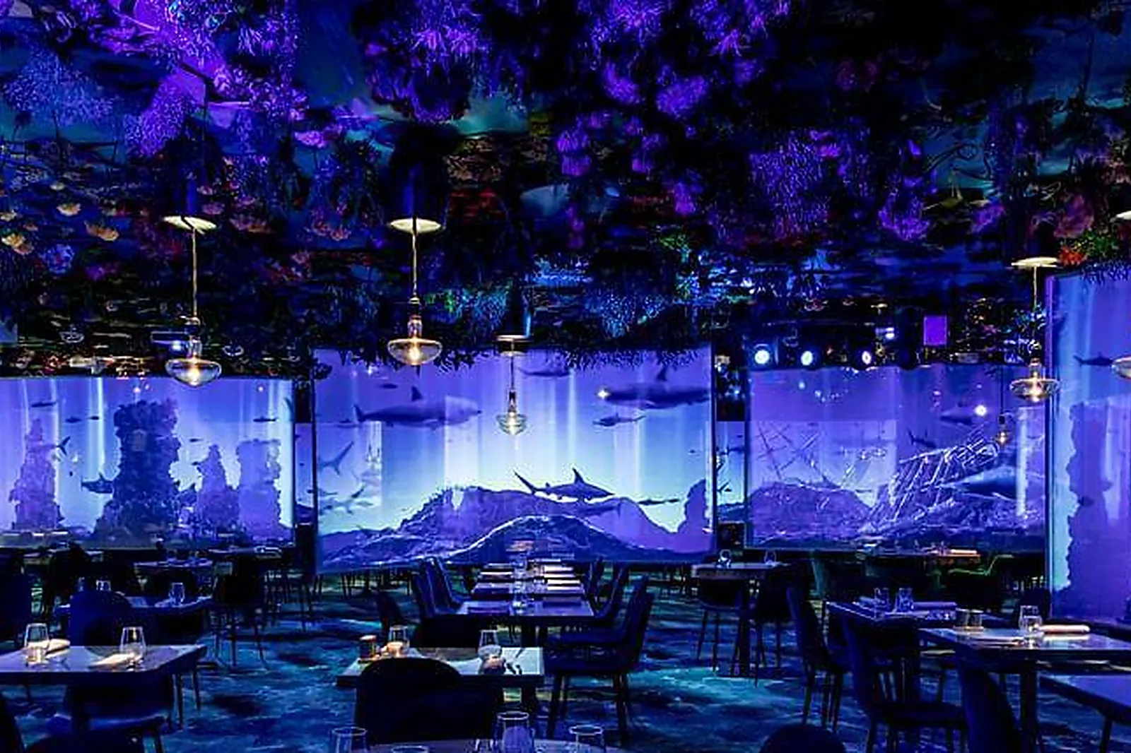 Lieux événementiels, UNDER THE SEA RESTAURANT - EPHEMERA