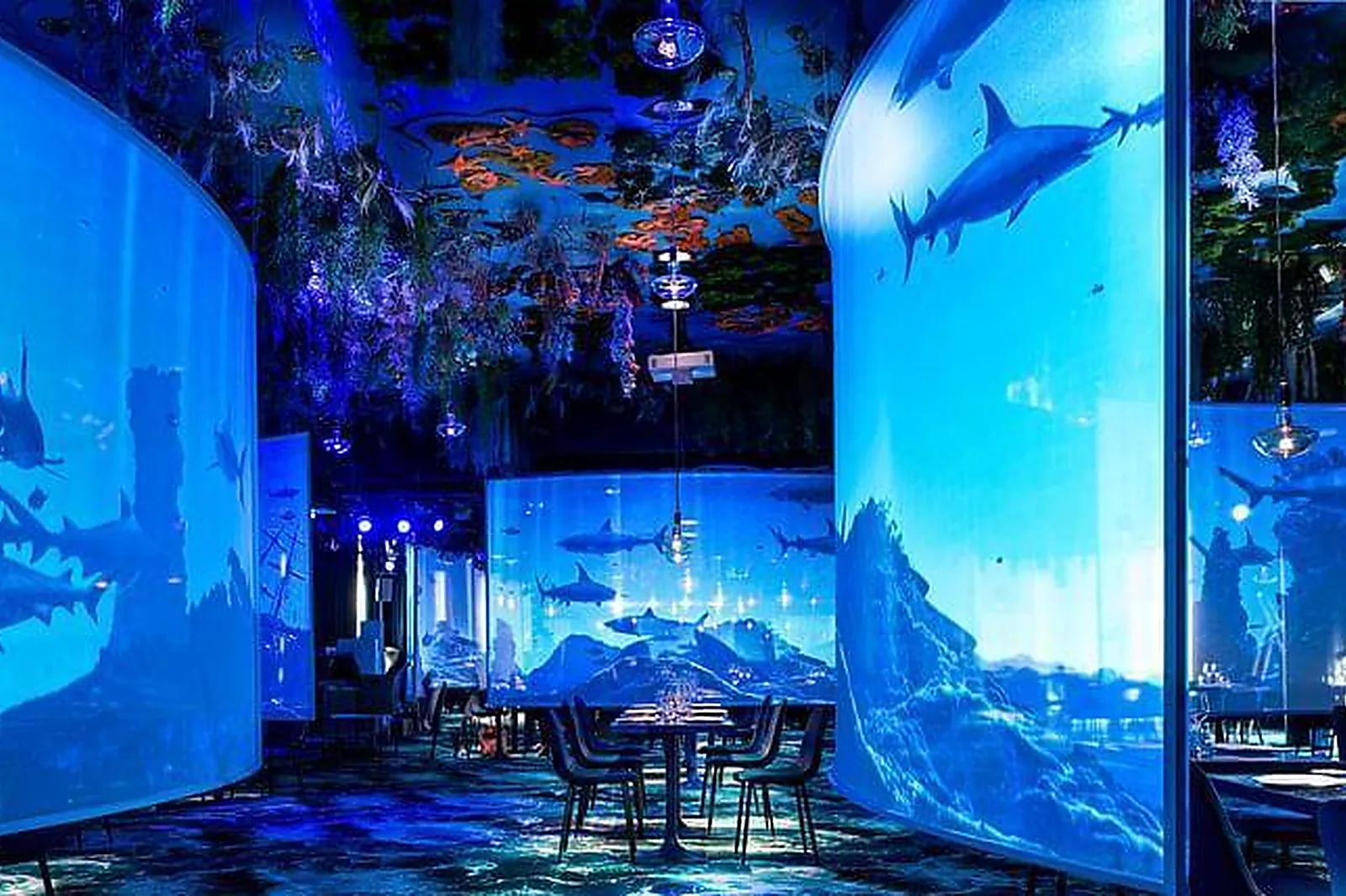 Lieux événementiels, UNDER THE SEA RESTAURANT - EPHEMERA