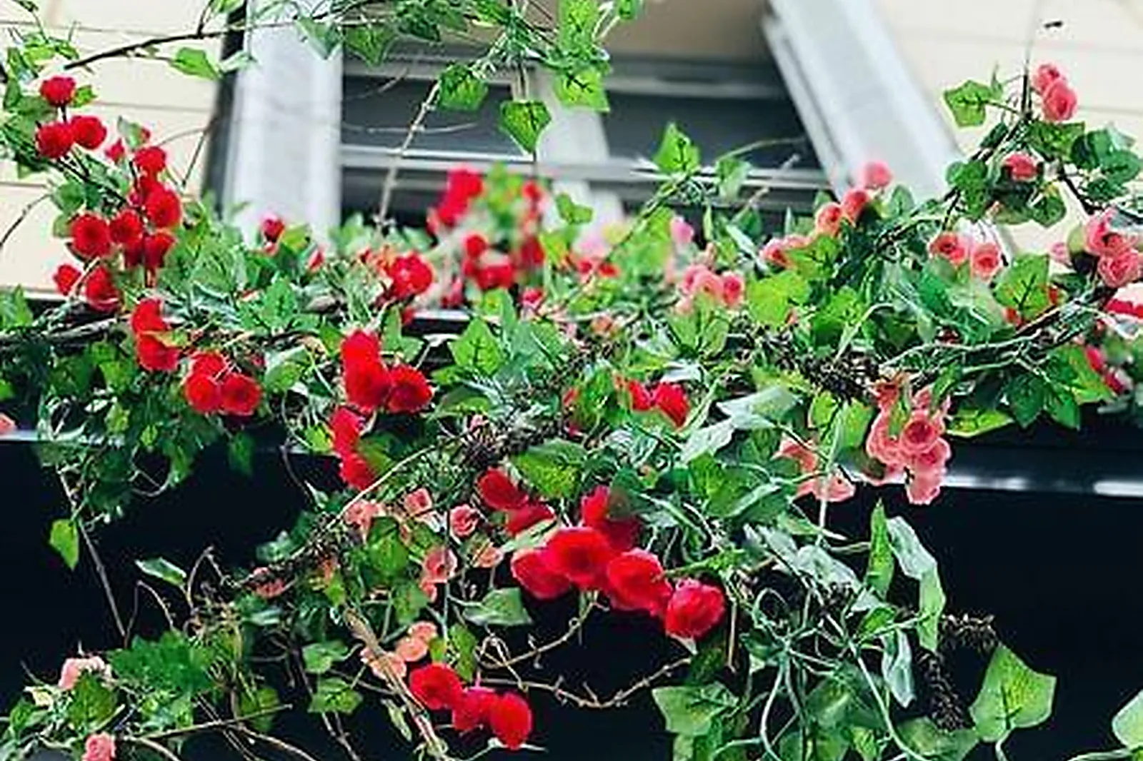 Lieux événementiels, UPPER CONCEPT STORE