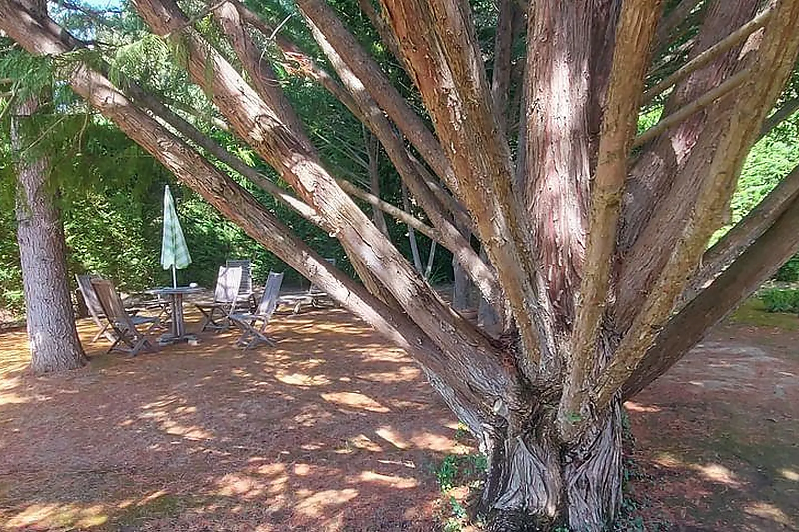 Lieux événementiels, VILLA H