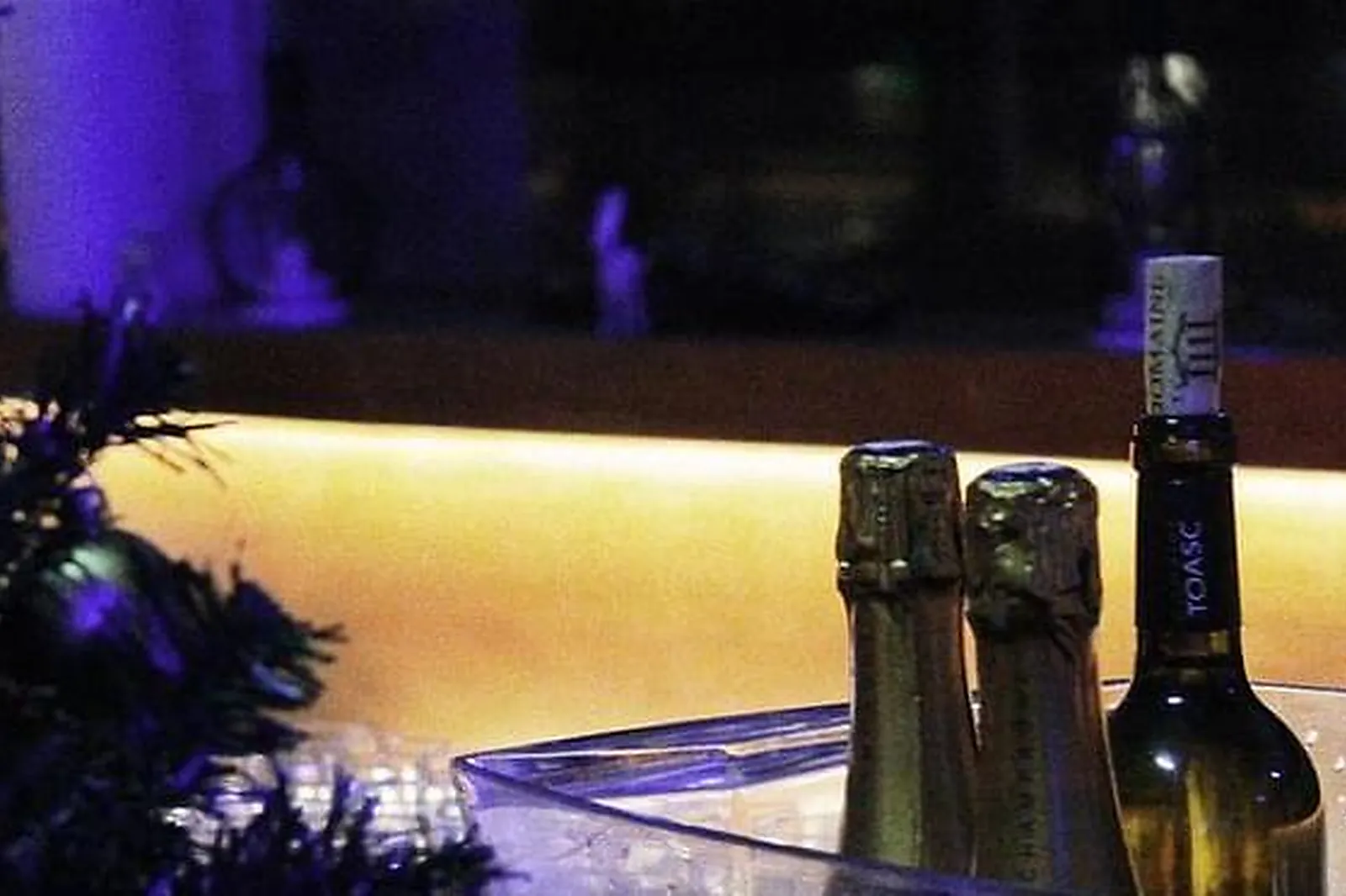 Lieux événementiels, ANTHÉANE LYON, CENTRE DE FORMATION