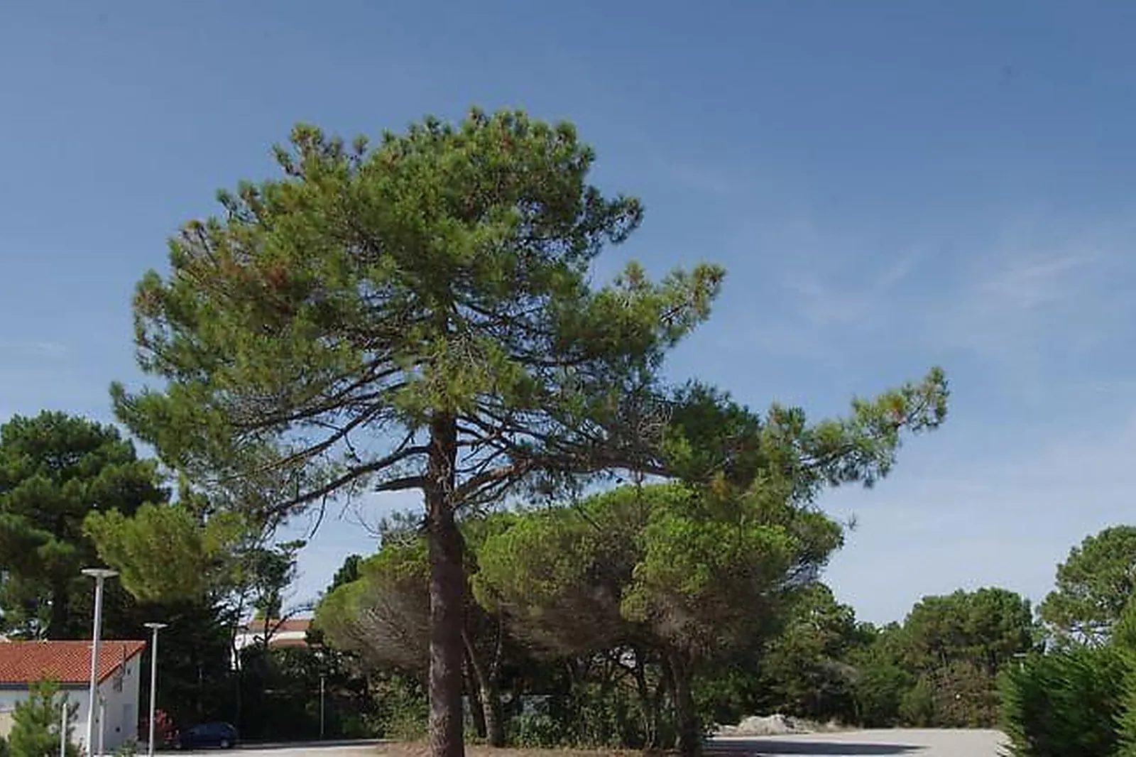 Lieux événementiels, VENT D'EDEN PARK HÔTEL